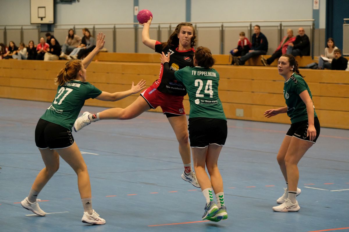 Link zur Galerie