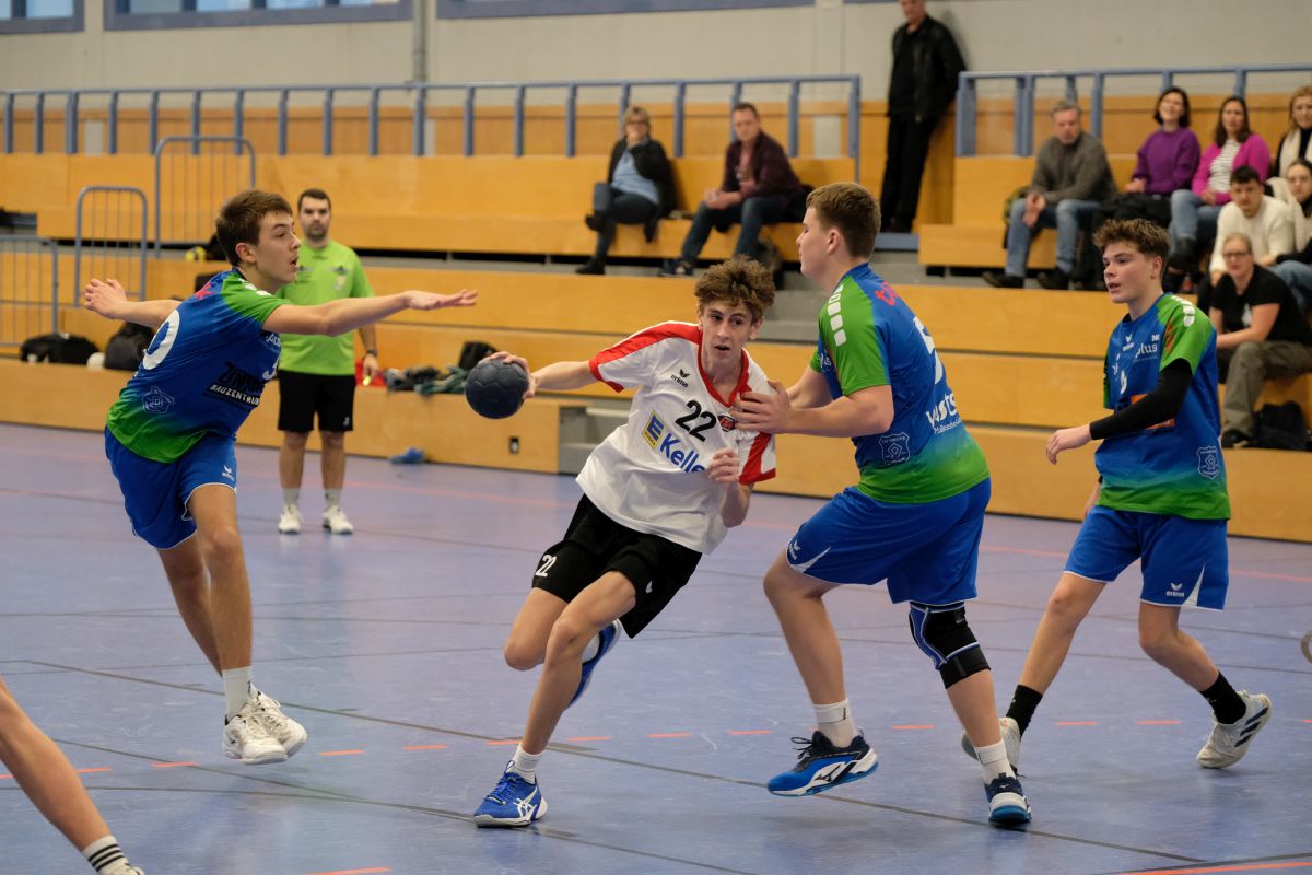 Link zur Galerie