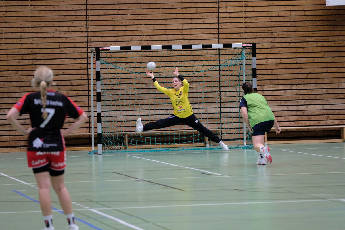 Link zur Galerie