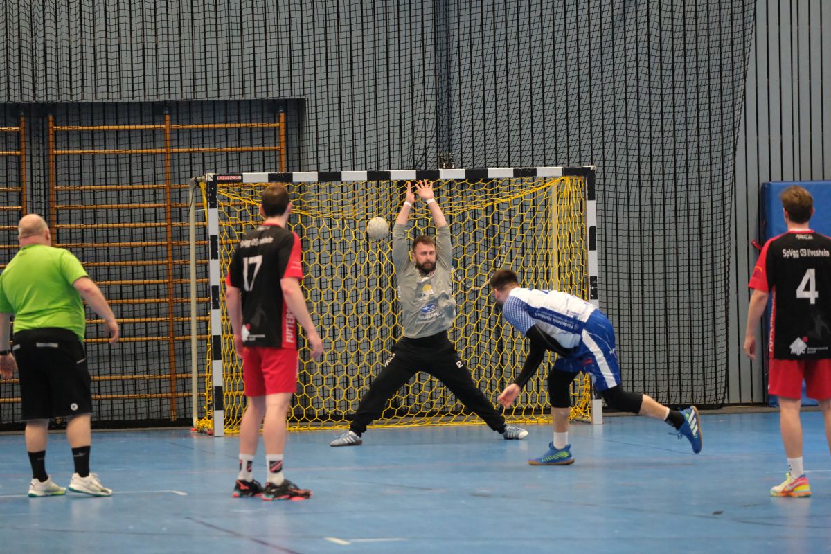 Link zur Galerie