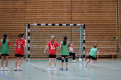 ST-20150301A13