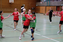 ST-20150301A24