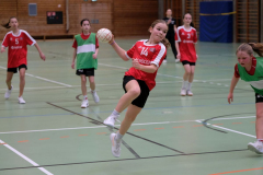 ST-20150301A93
