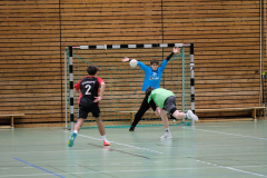 ST-20150301B33